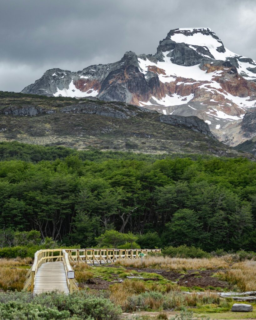Patagonia