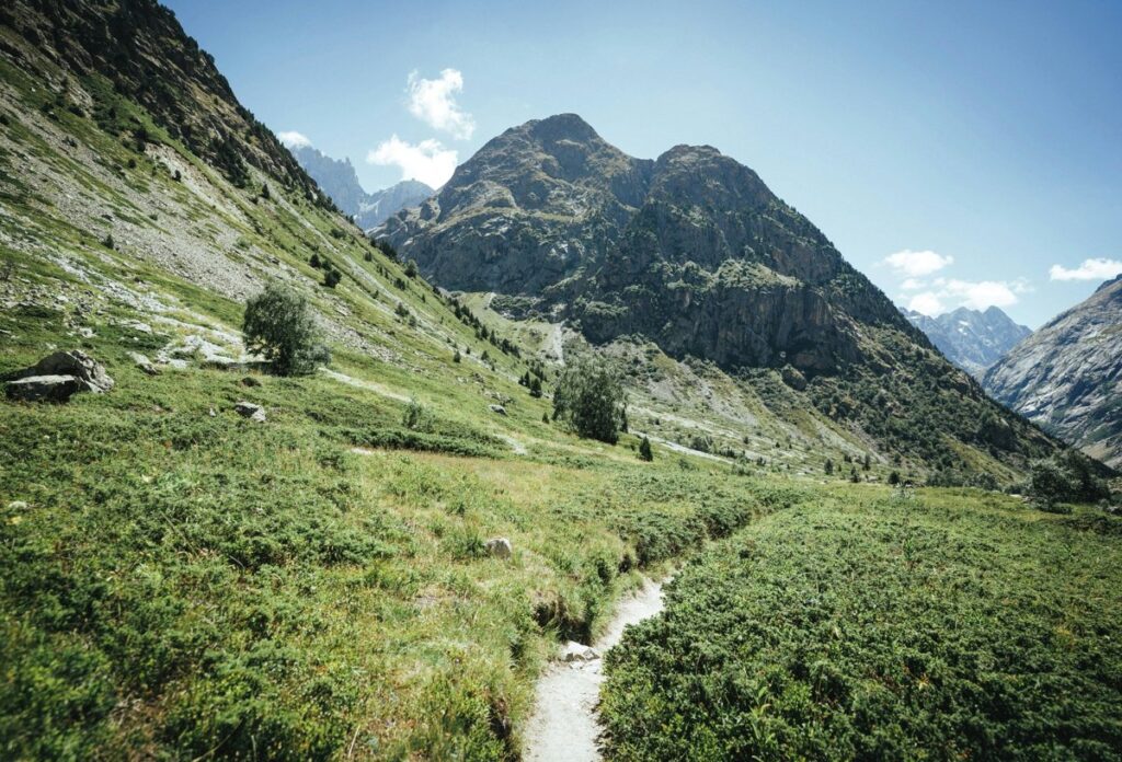Alpine Trail