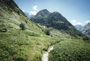 Alpine Trail